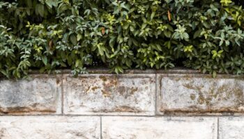 Ogrodzenie z bloczków betonowych